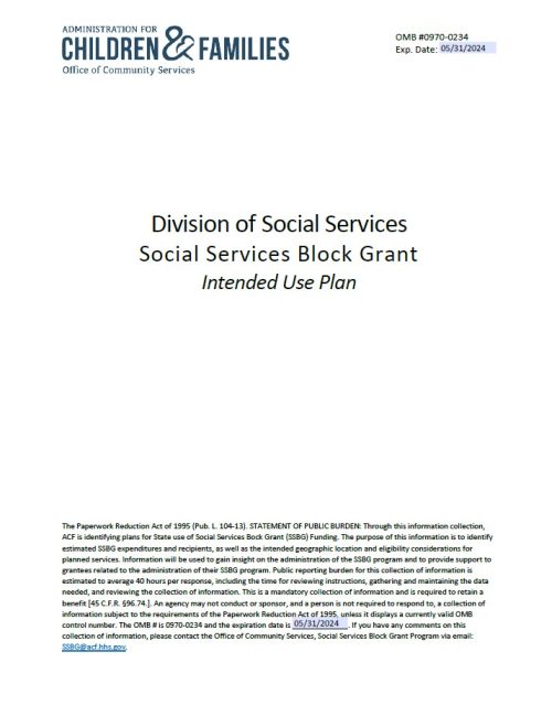 Division of Social Services Block Grant